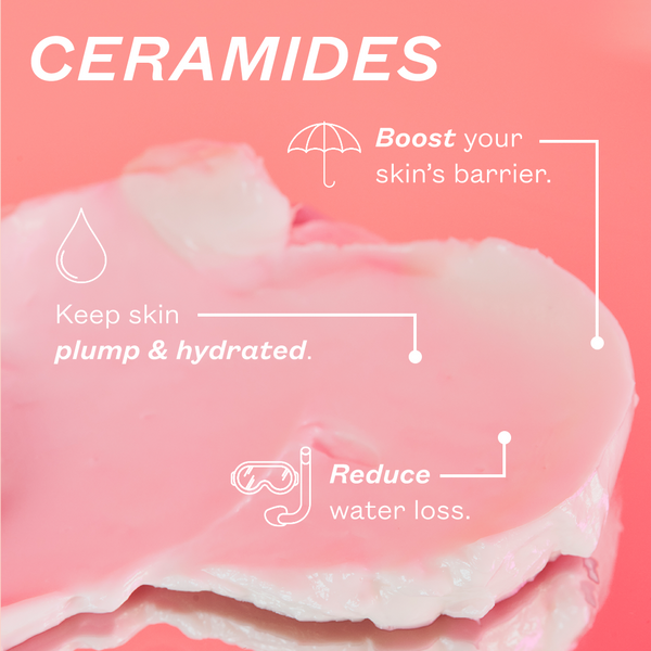 Super Ceramide Night Cream